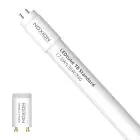Noxion Tubo LED T8 Avant (EM/Mains) Standard Output 15W 1800lm - 840 Blanco Frio | 120cm - Reemplazo 36W